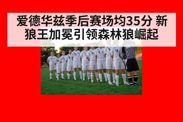 爱德华兹季后赛场均35分 新狼王加冕引领森林狼崛起